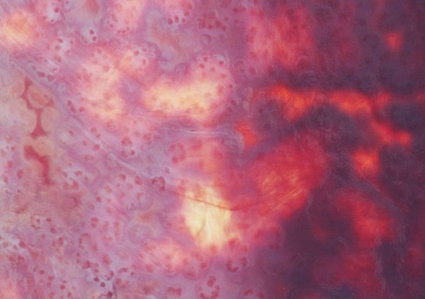 Quali sono i migliori modelli di gioielli in resina trasparente per un look estivo luminoso?